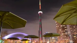 15 Romantic Places in Toronto That Are Perfect for Proposing