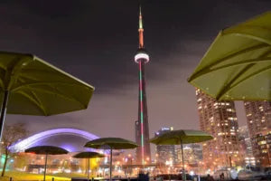 Romantic Places in Toronto to Propose by Jacob Mercari
